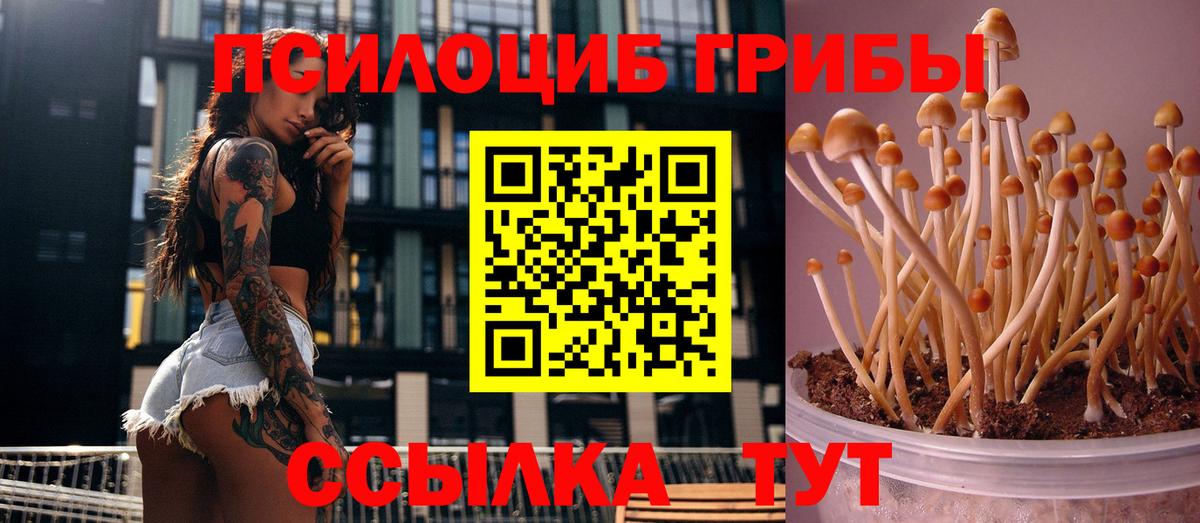 Псилоцибиновые грибы GOLDEN TEACHER Северск